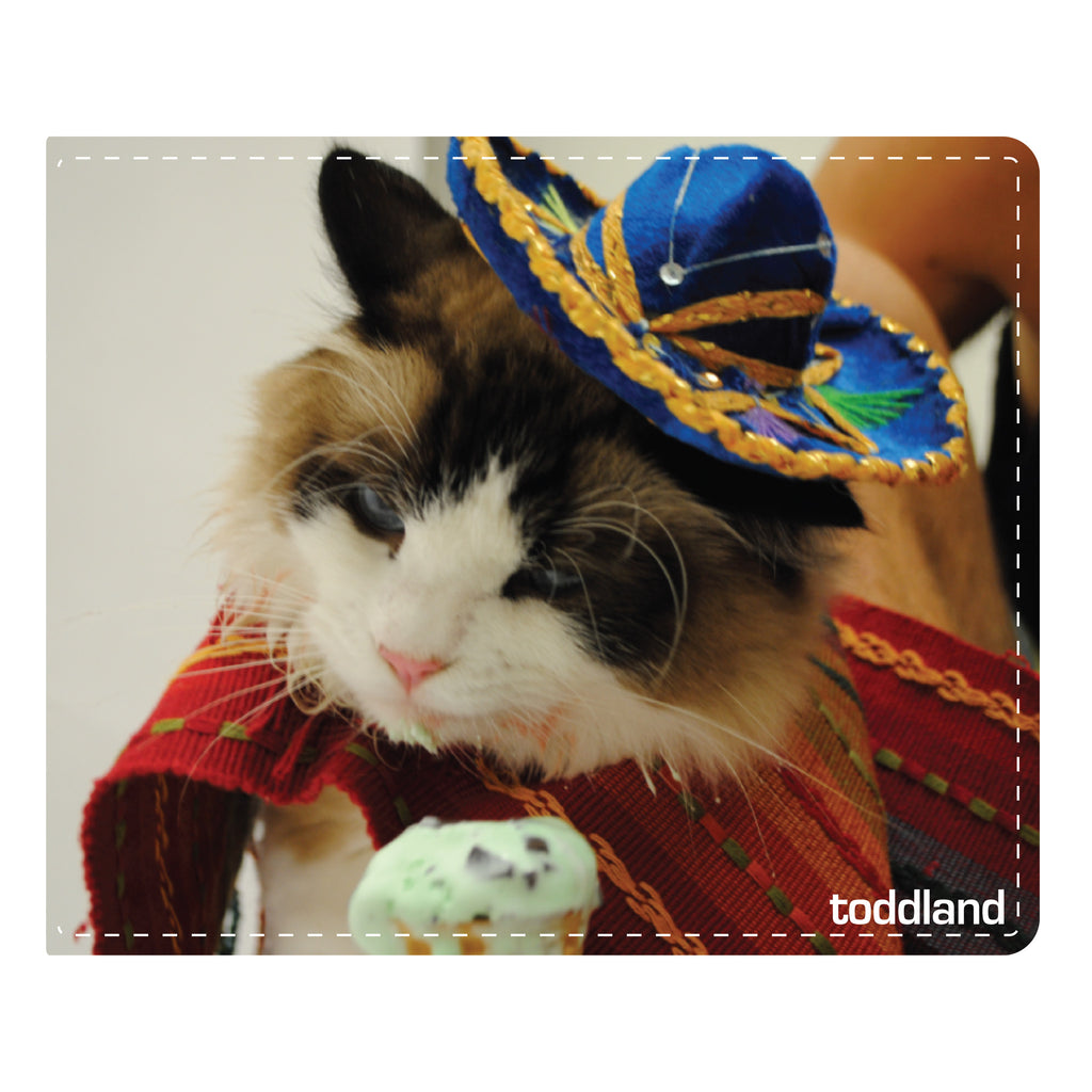 el guapo gato wallet
